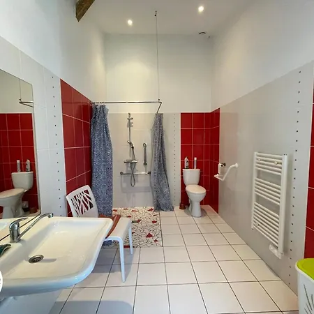 Rénové Avec Spa, Piscine Chauffée, Wifi Et Accès Handicapés Au Cœur Du Marais Breton - Fr-1-426-321