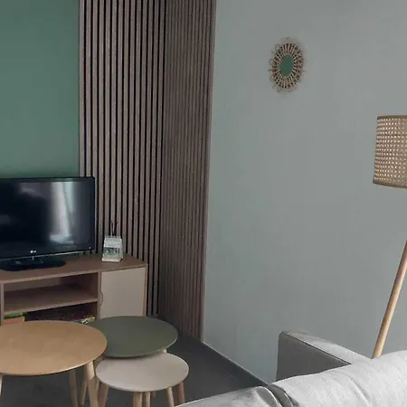 Renove Avec Spa, Piscine Chauffee, Wifi Et Acces Handicapes Au Coeur Du Marais Breton - Fr-1-426-321 Vakantiehuis