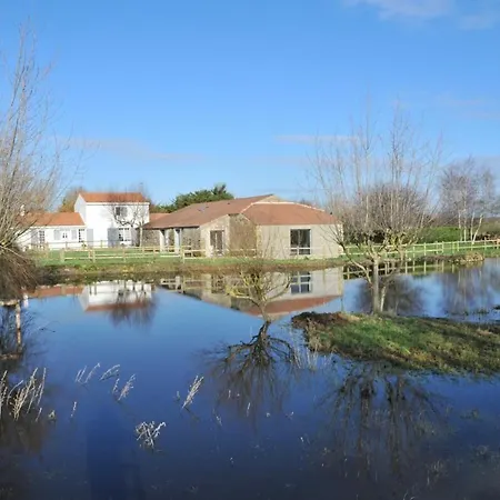 Renove Avec Spa, Piscine Chauffee, Wifi Et Acces Handicapes Au Coeur Du Marais Breton - Fr-1-426-321 Semesterbostad Soullans